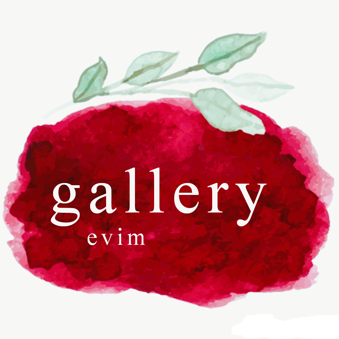 gallery evim